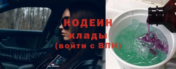 соль ск Волосово