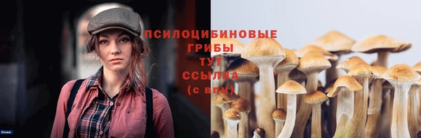 a pvp Волоколамск