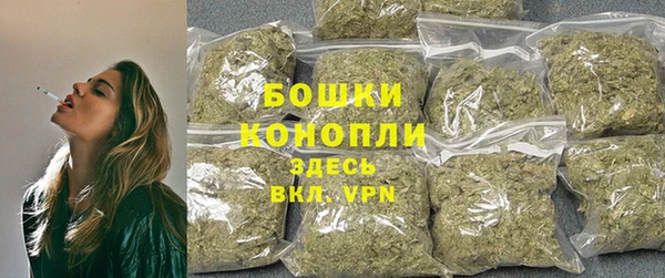 соль ск Волосово